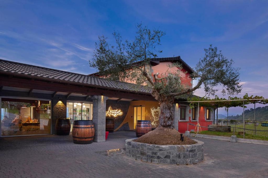 Getaria House | Ameztoi Experience