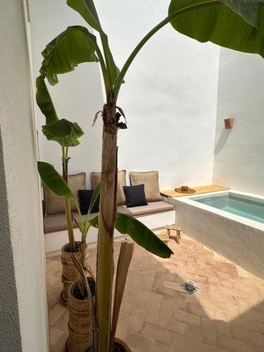 Les Cases d'Alcanar House | CASA MEUA