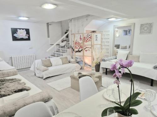 Zizur Mayor Apartment | Cool Spacious studio semi basement in hosts house with BBQ Ideal for The camino