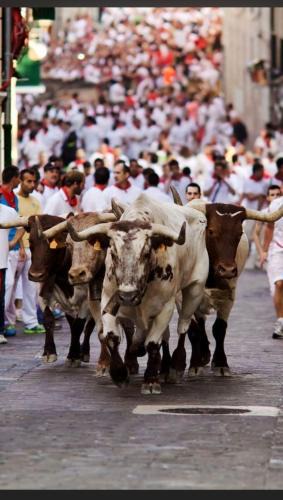 Milagrosa Other | Habitación Luminosa a 10 minutos del centro y San Fermín