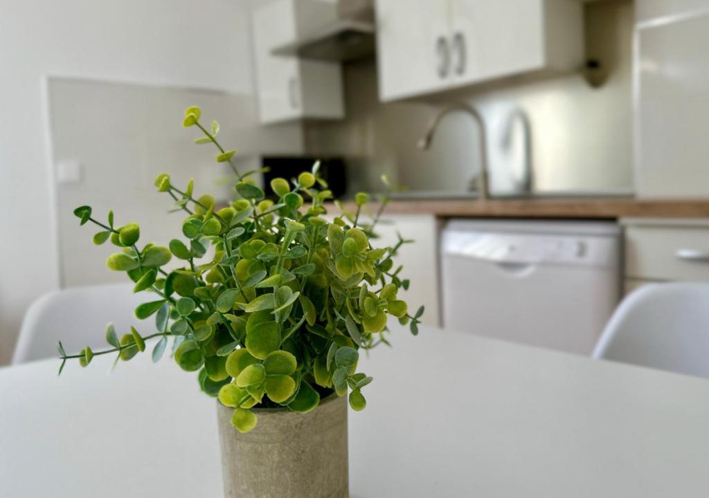 Monreal del Campo Apartment | La Casica de Monreal