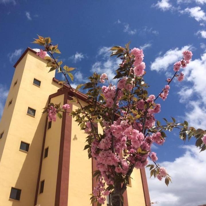 Bello Hotel | Mirador El Silo
