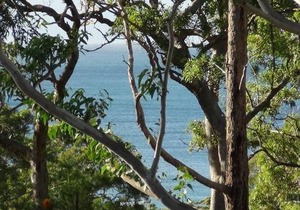 Tranquillity Beach House in Vincentia