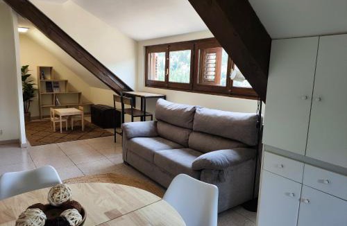 Isaba Apartment | Apartamento ático Belabarce