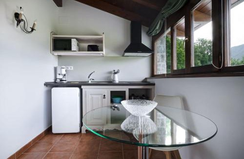 Sarvise Apartment | Apartamentos Viña Olivan