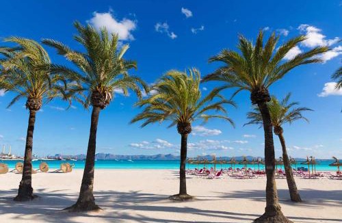 Alcudia Apartment | Apartment Paradise Bay 4 at Alcudia Beach, Salzes 4