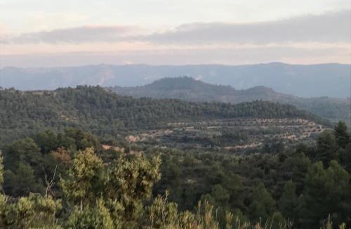 La Bisbal de Falset House | Casa a 5minutos de Margalef para escaladores o relax,