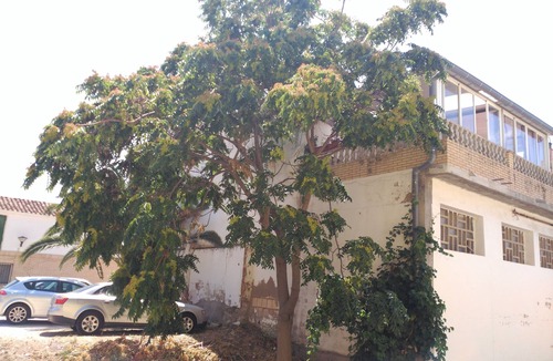 Valtierra Cottage | Casa La Parada for 8 people plus extra