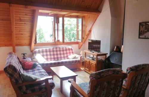 Pla de l'Ermita Apartment | Chimenea y espacio para todos, ideal para famílias - Isard 2