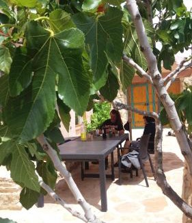 Molinos House | Corral De La Solana