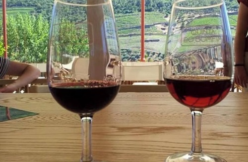 Haro Other | Haro San Vino Wine Fight Camping
