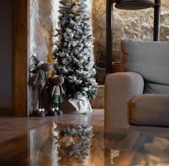 Arnes Hotel | Hotel Hort De Fortunyo