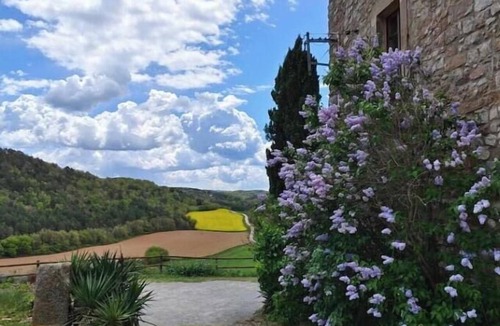 Moia Cottage | "La Fleca": Accommodations with a Catalan vaulted ceiling