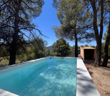 Bullas Apartment | Laya Alojamientos Rurales y Eventos