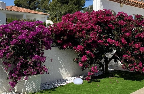 Miami Platja Cottage | Luxury Villa with Private Pool Near Beach