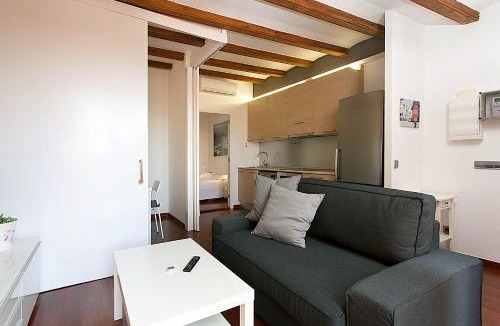 El Camp de l'Arpa del Clot Apartment | MUNTANYA - Apartments & one with Terrace next to Sagrada Familia