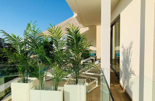 Lo Rufete Apartment | Naranjo golf & leisure