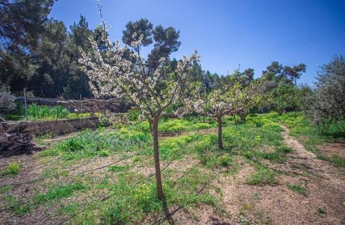 Port des Torrent House | Sa Paissa - Casa de Campo Cala Bassa