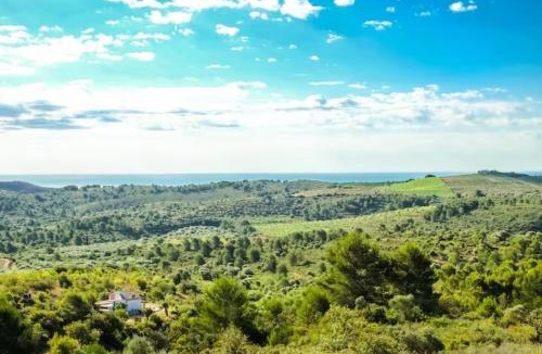 Vilanova d'Alcolea Other | StarGate Tepee in Permaculture Paradise at WILDSPIRIT Eco Farm