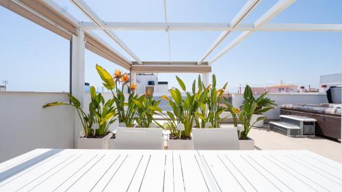 Torrevieja Apartment | YourSpain es Apartment DM1 5A Heated pool Hot tub