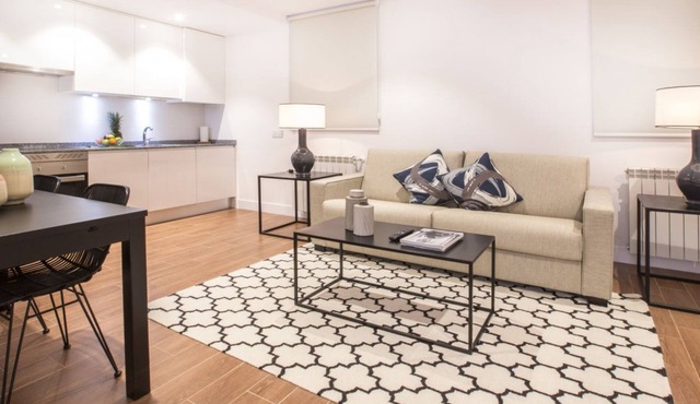 1 Bedroom Apartment (Basement Level) - Chueca
