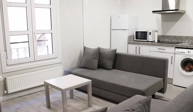 APARTAMENTOS LOGROÑO CENTRO