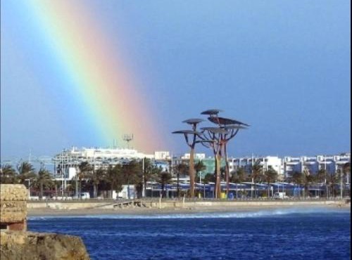 Arcoiris Pineda