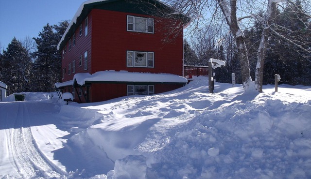 Bear - unit 5 in White Pine