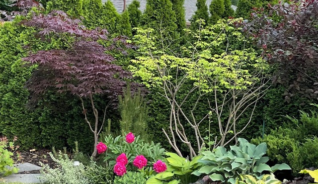 Beautiful Home with Hot Tub by Airport & 20 min to Downtown Toronto in Toronto