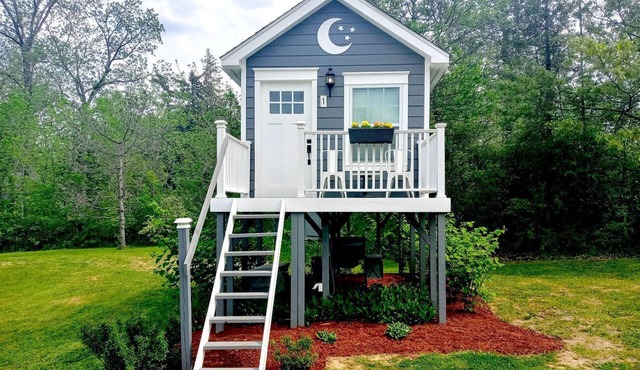 Beautiful Treehouse Under The Stars Near Wolverine, Michigan in Holly