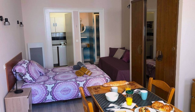 Comfortable apartment 100 metres from the spa in Bourbonne-les-Bains
