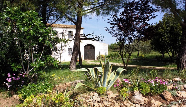 Country house surrounded by vineyards.