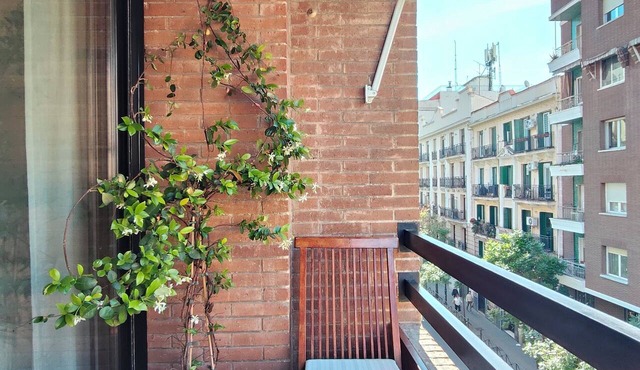 Cozy and bright apartment in Chamberí