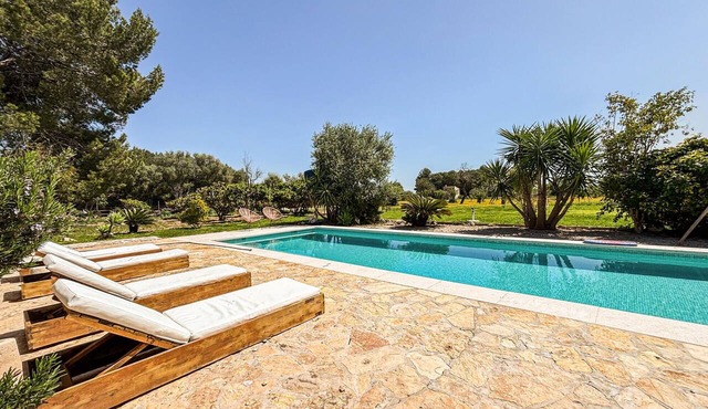 Cozy home in Binissalem with private swimming pool, can be inside or outside