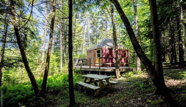 Ecological, intimate and immersive yurt: Le Lièvre in Saint-Étienne-de-Bolton