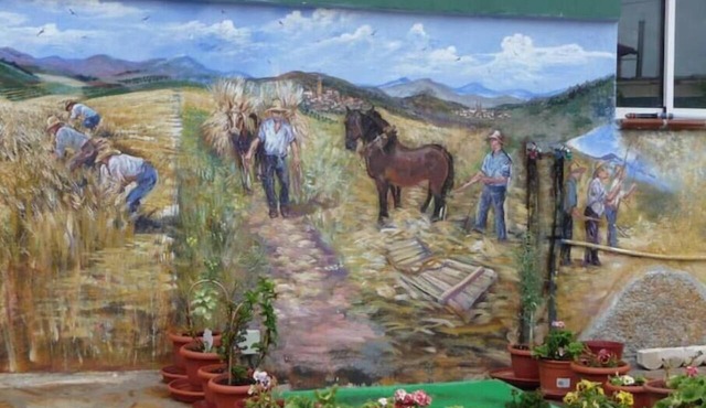 Entrefrutales - Rural House among Trees and Aromas