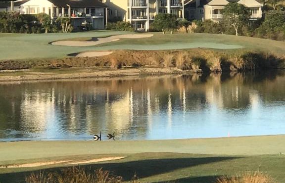 Golf@Gulf in Whangaparaoa