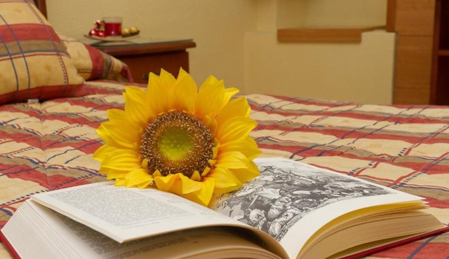 Hostal Siete Picos