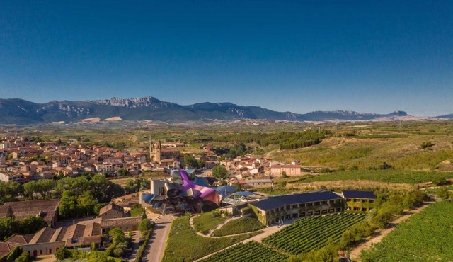 Hotel Marqués de Riscal, a Luxury Collection Hotel, Elciego