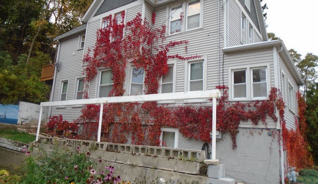 Lower flat steps from the lake and downtown in Port Washington