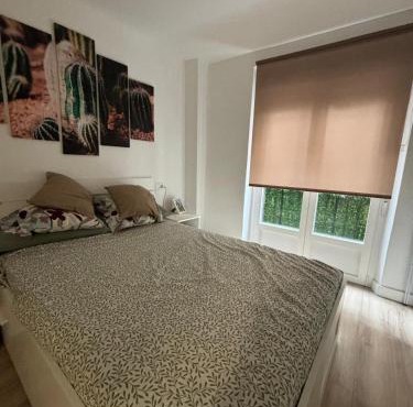 Pamplona Home
