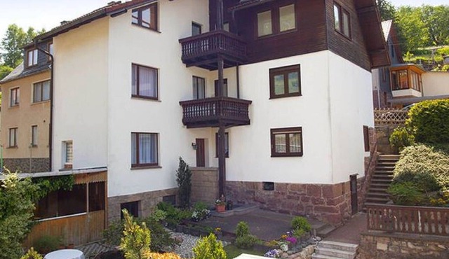 Pleasant apartment in Thuringian Forest with garden in Steinbach-Hallenberg