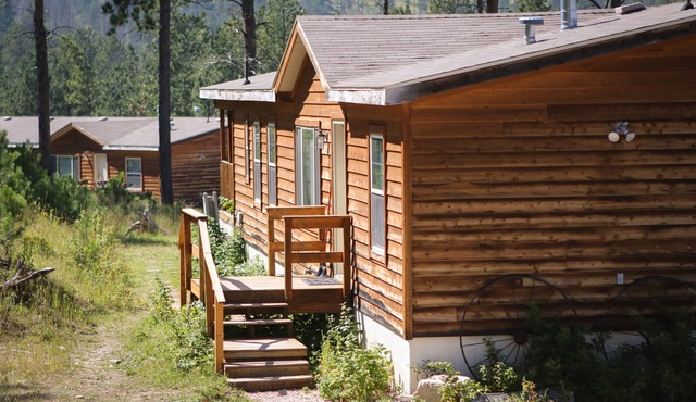 Ponderosa Cabin with Private Hot Tub - Near Mt Rushmore and Hills Attractions in Custer