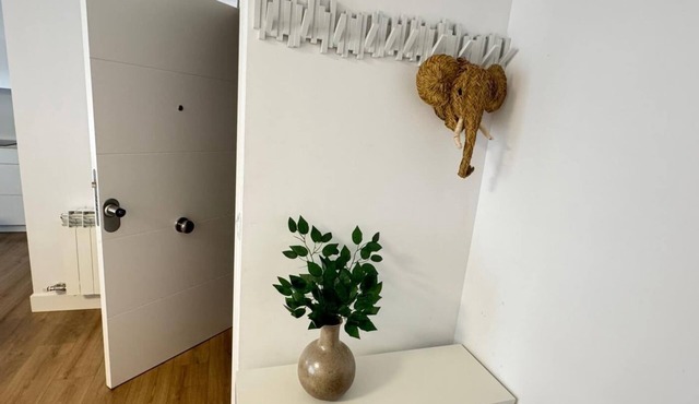 PRECIOSOS APARTAMENTOS RIOJALAND EN LARDERO