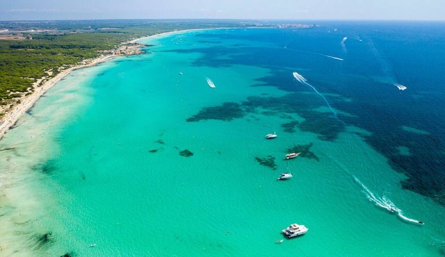 Sun-Kissed Sailing Adventure in Islas Baleares, Mallorca in Palma