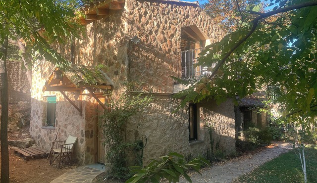 Superb country house just an hour from Madrid