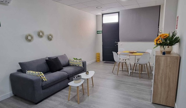 THE INGENIOUS APARTMENT