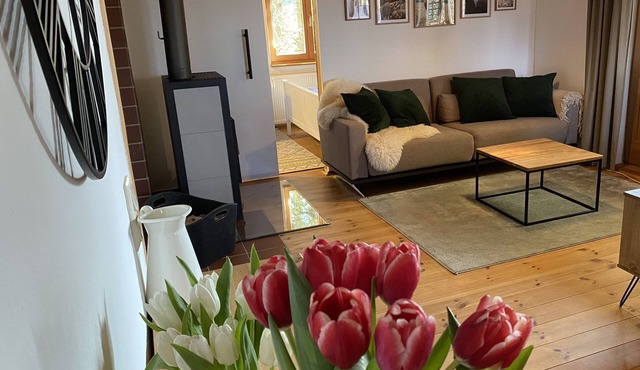 Vacation bungalow in Steinbach-Hallenberg in Steinbach-Hallenberg