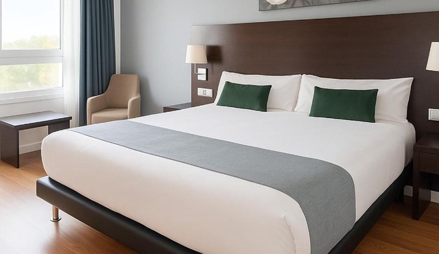 VTZ Hotel Plaza España