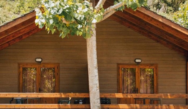 Wooden bungalows with pool access and pets allowed